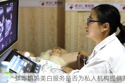 蚌埠妈妈美白服务是否为私人机构提供？