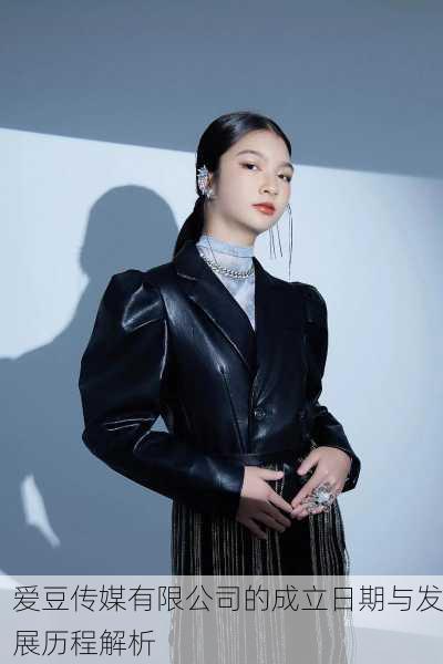爱豆传媒有限公司的成立日期与发展历程解析