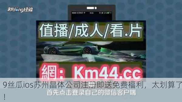 9丝瓜ios苏州晶体公司注册即送免费福利，太划算了！