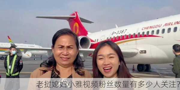 老挝媳妇小雅视频粉丝数量有多少人关注？