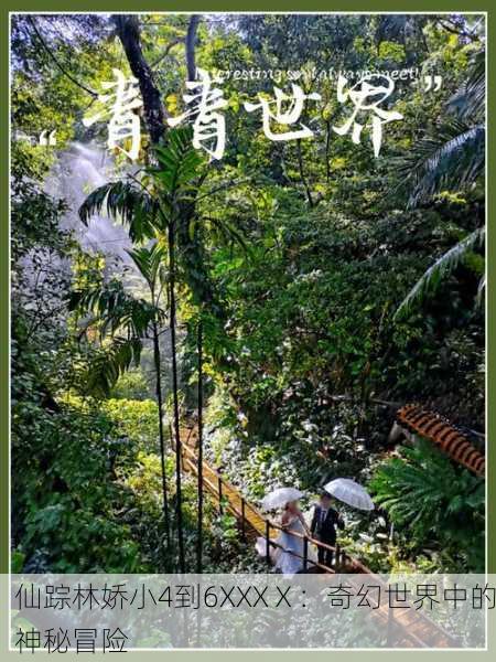 仙踪林娇小4到6XXXⅩ：奇幻世界中的神秘冒险