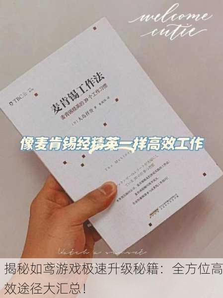 揭秘如鸢游戏极速升级秘籍：全方位高效途径大汇总！