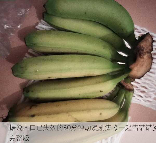 据说入口已失效的30分钟动漫剧集《一起错错错》完整版