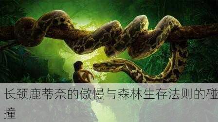 长颈鹿蒂奈的傲慢与森林生存法则的碰撞