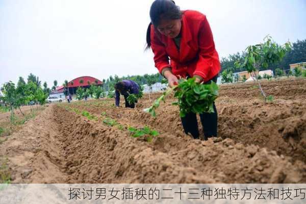 探讨男女插秧的二十三种独特方法和技巧