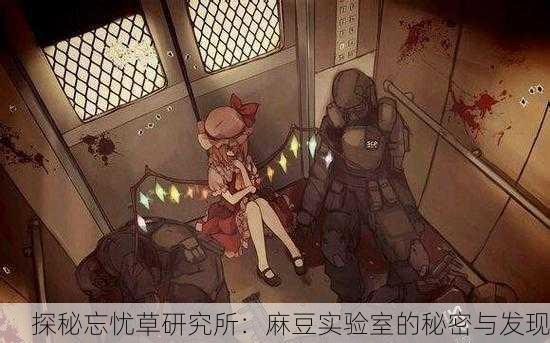 探秘忘忧草研究所：麻豆实验室的秘密与发现