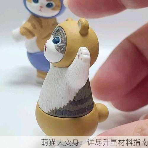 萌猫大变身：详尽升星材料指南
