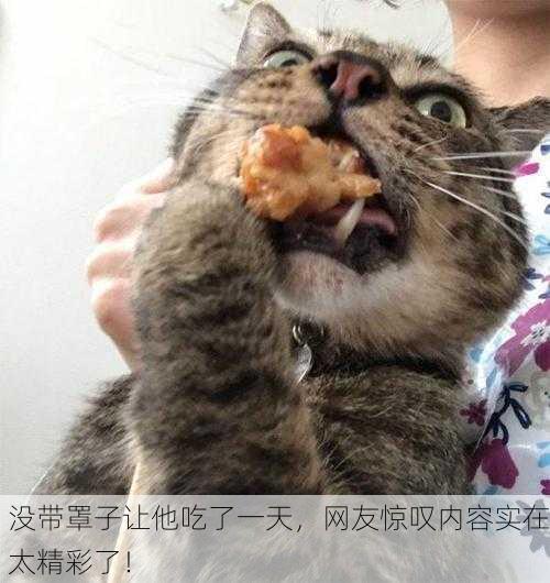 没带罩子让他吃了一天，网友惊叹内容实在太精彩了！
