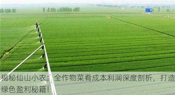 揭秘仙山小农：全作物菜肴成本利润深度剖析，打造绿色盈利秘籍！