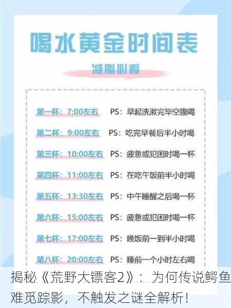 揭秘《荒野大镖客2》：为何传说鳄鱼难觅踪影，不触发之谜全解析！