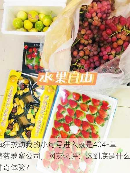 疯狂拨动我的小句号进入就是404-草莓菠萝蜜公司，网友热评：这到底是什么神奇体验？