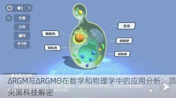 ΔRGM与ΔRGMΘ在数学和物理学中的应用分析：顶尖黑科技解密