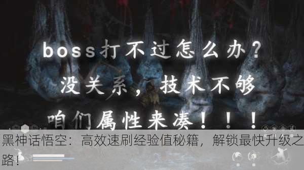 黑神话悟空：高效速刷经验值秘籍，解锁最快升级之路！