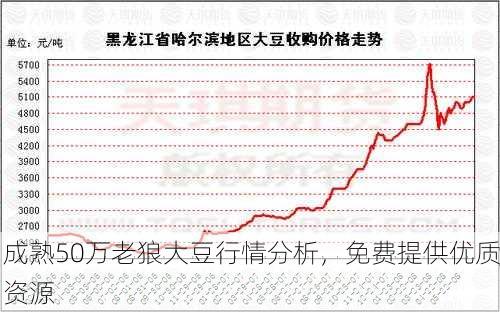 成熟50万老狼大豆行情分析，免费提供优质资源