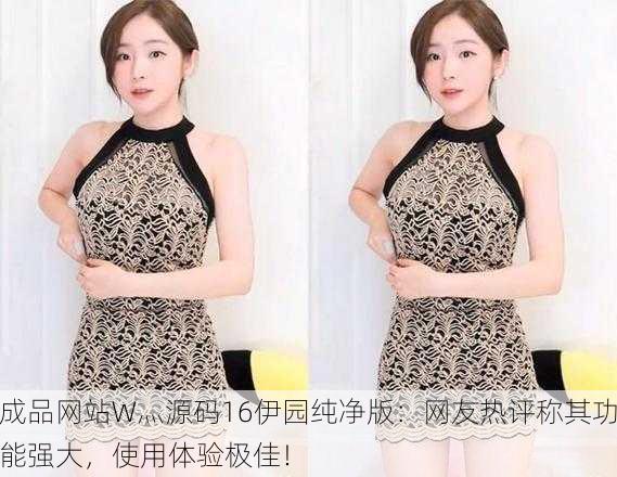 成品网站W灬源码16伊园纯净版：网友热评称其功能强大，使用体验极佳！