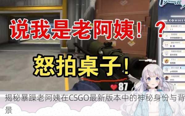 揭秘暴躁老阿姨在CSGO最新版本中的神秘身份与背景