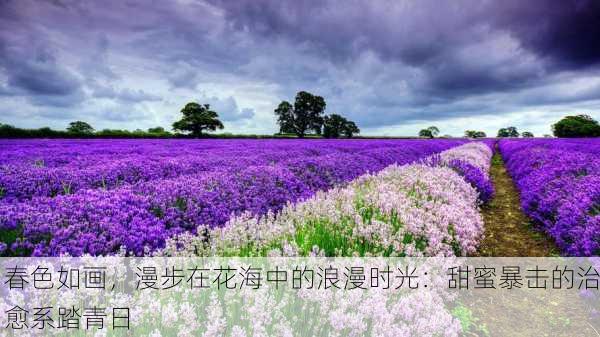 春色如画，漫步在花海中的浪漫时光：甜蜜暴击的治愈系踏青日