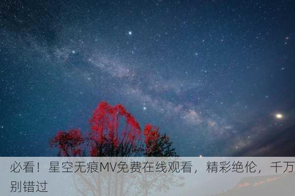 必看！星空无痕MV免费在线观看，精彩绝伦，千万别错过