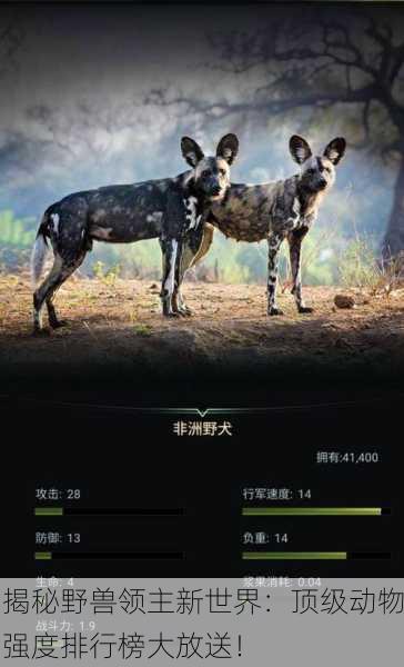 揭秘野兽领主新世界：顶级动物强度排行榜大放送！
