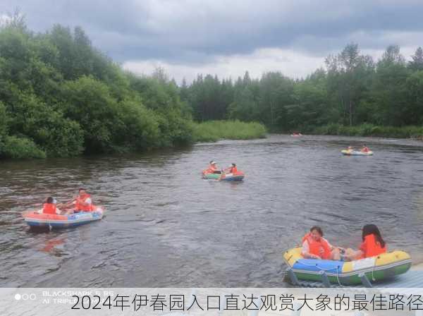2024年伊春园入口直达观赏大象的最佳路径