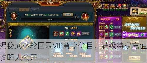 揭秘武林轮回录VIP尊享价目，满级特权充值攻略大公开！