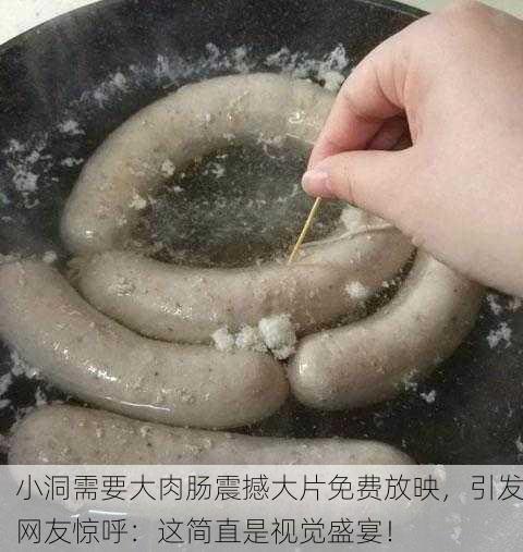 小洞需要大肉肠震撼大片免费放映，引发网友惊呼：这简直是视觉盛宴！