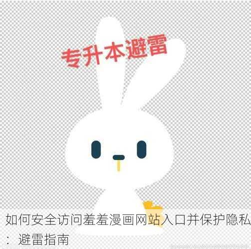 如何安全访问羞羞漫画网站入口并保护隐私：避雷指南