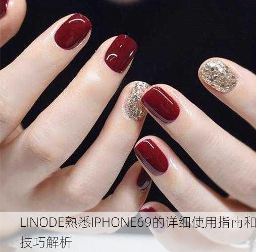 LINODE熟悉IPHONE69的详细使用指南和技巧解析
