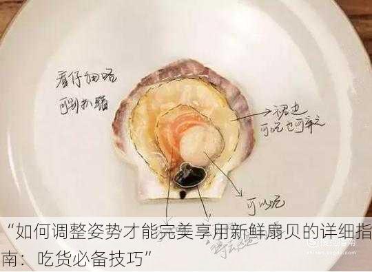 “如何调整姿势才能完美享用新鲜扇贝的详细指南：吃货必备技巧”