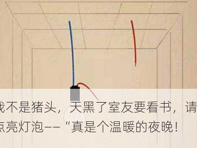 我不是猪头，天黑了室友要看书，请点亮灯泡——“真是个温暖的夜晚！”