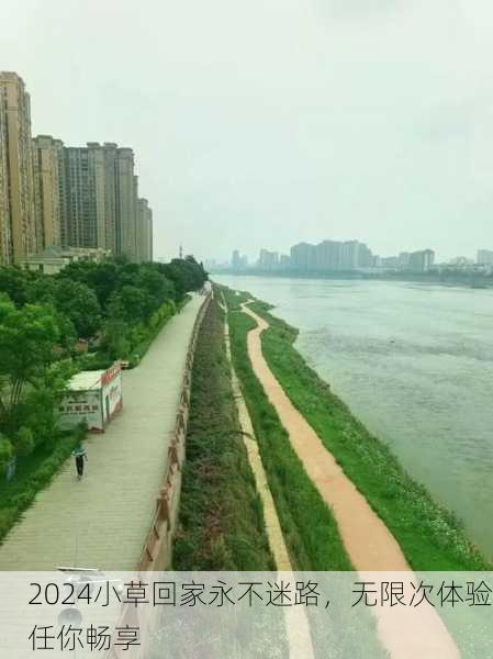 2024小草回家永不迷路，无限次体验任你畅享