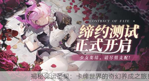揭秘命运圣契：卡牌世界的奇幻养成之旅！
