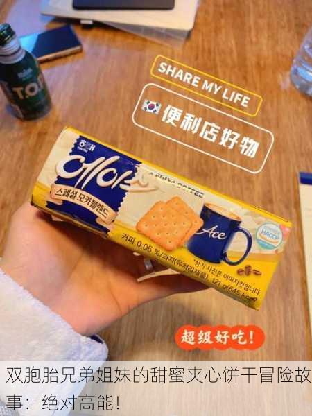 双胞胎兄弟姐妹的甜蜜夹心饼干冒险故事：绝对高能！