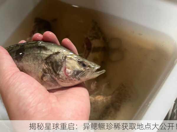 揭秘星球重启：异鳃鳜珍稀获取地点大公开！