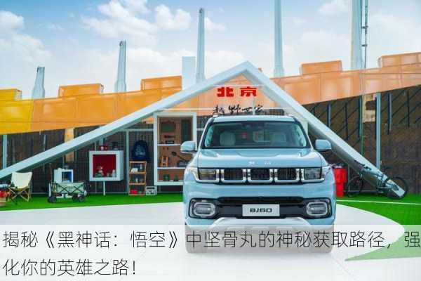揭秘《黑神话：悟空》中坚骨丸的神秘获取路径，强化你的英雄之路！