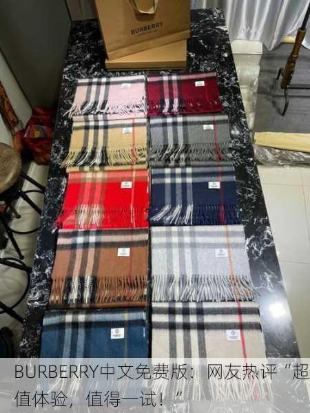 BURBERRY中文免费版：网友热评“超值体验，值得一试！”