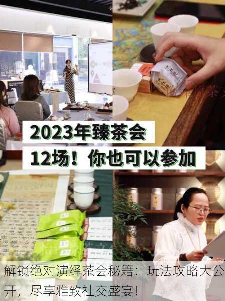 解锁绝对演绎茶会秘籍：玩法攻略大公开，尽享雅致社交盛宴！