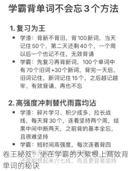 卷王秘笈：坐在学霸的大紫根上高效背单词的秘诀