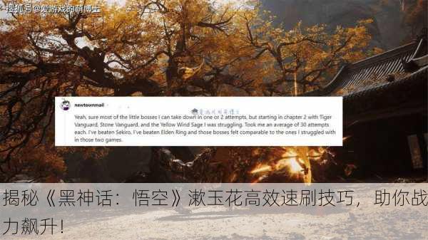 揭秘《黑神话：悟空》漱玉花高效速刷技巧，助你战力飙升！
