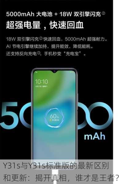 Y31s与Y31s标准版的最新区别和更新：揭开真相，谁才是王者？