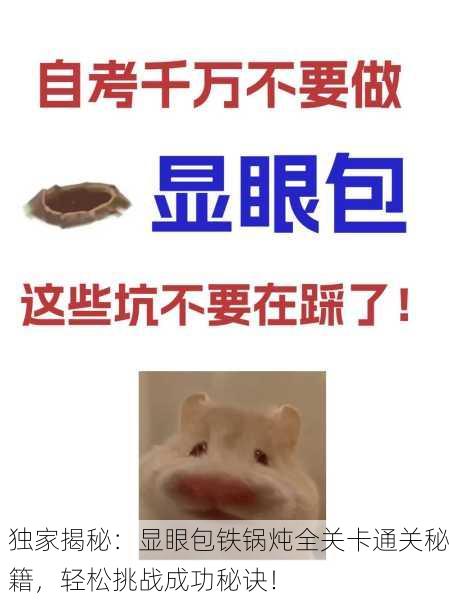 独家揭秘：显眼包铁锅炖全关卡通关秘籍，轻松挑战成功秘诀！