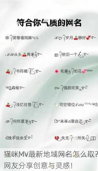 猫咪MV最新地域网名怎么取？网友分享创意与灵感！