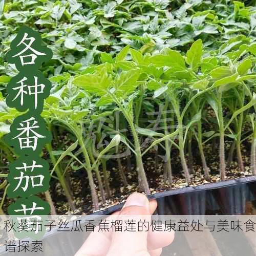 秋葵茄子丝瓜香蕉榴莲的健康益处与美味食谱探索