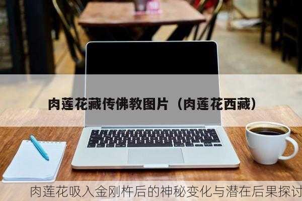 肉莲花吸入金刚杵后的神秘变化与潜在后果探讨
