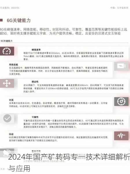 2024年国产矿转码专一技术详细解析与应用