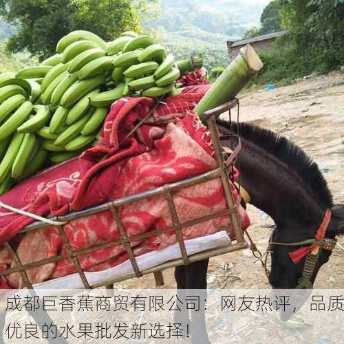 成都巨香蕉商贸有限公司：网友热评，品质优良的水果批发新选择！