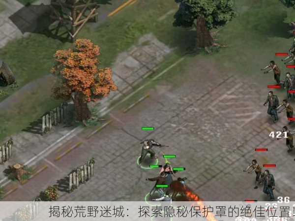 揭秘荒野迷城：探索隐秘保护罩的绝佳位置！