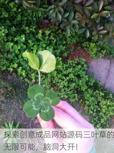 探索创意成品网站源码三叶草的无限可能，脑洞大开！