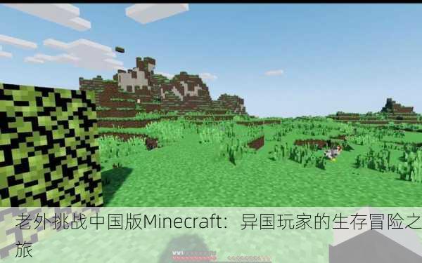 老外挑战中国版Minecraft：异国玩家的生存冒险之旅