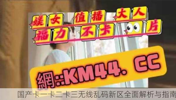 国产卡一卡二卡三无线乱码新区全面解析与指南